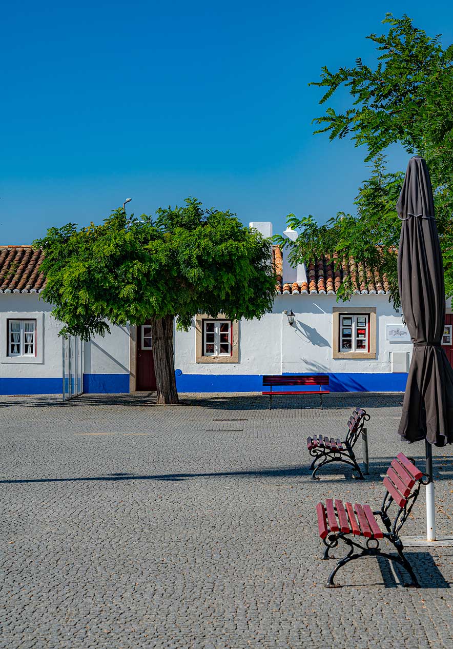 colocar aqui o alt text