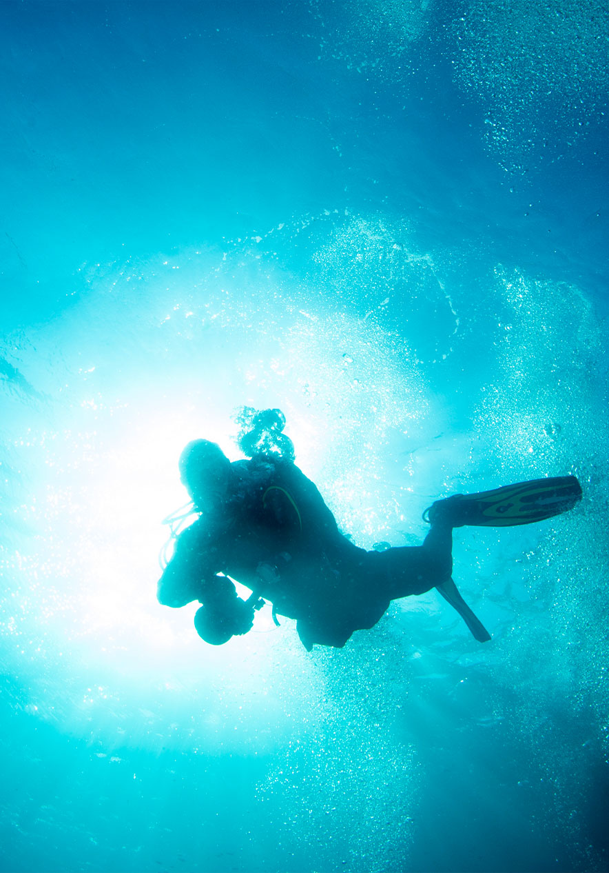 En el Parque Ocean Revival tienes la oportunidad de bucear en cuatro barcos y explorarlos