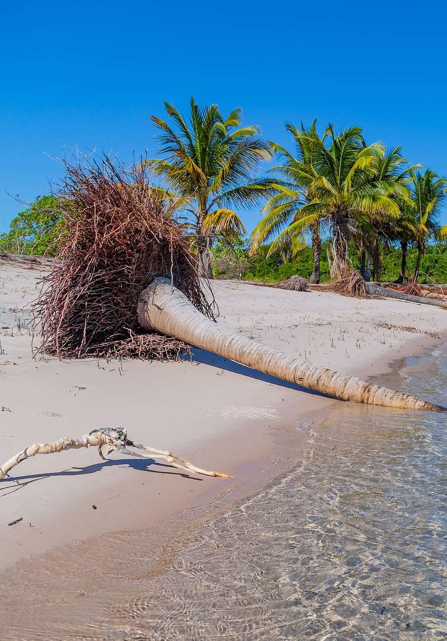 Ilha Inhaca, um paraíso com praias de areia branca, águas cristalinas e palmeiras