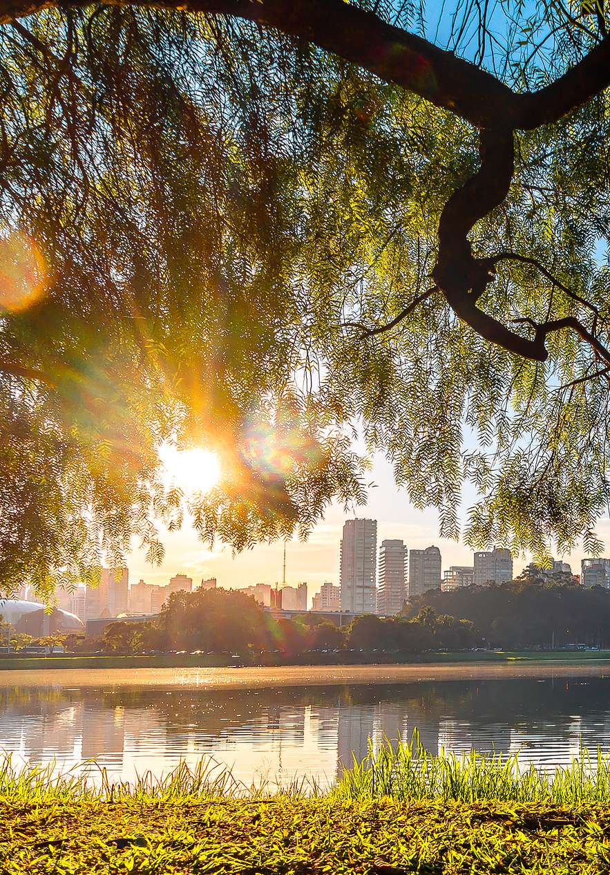 Parque Ibirapuera em São Paulo, um refúgio verde no meio da cidade com um lago que reflete o céu azul