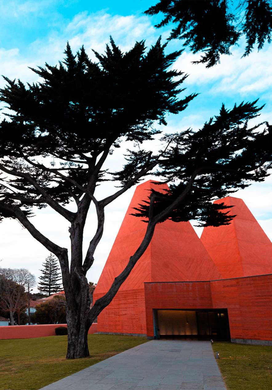 Casa das Histórias, um espaço dedicado à obra da artista Paula Rego onde arquitetura moderna se funde com arte contemporânea