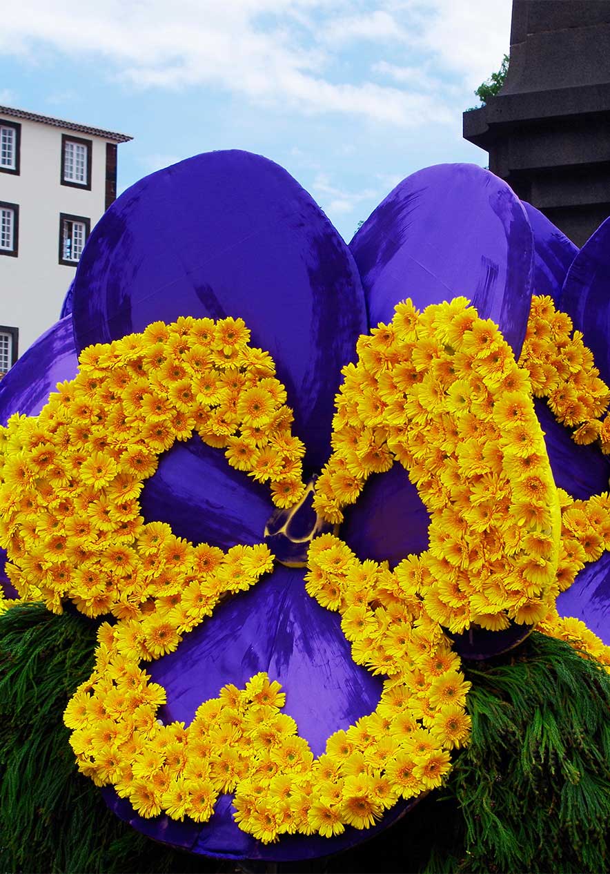 Fique no Pestana Carlton Madeira e descubra a beleza da Festa da Flor, com todo o tipo de flores coloridas