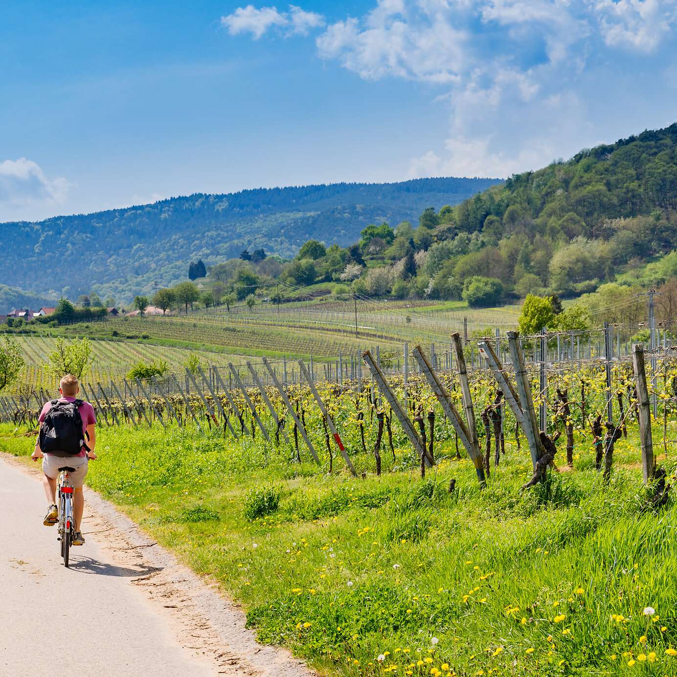 Stay at a Pestana hotel where you can cycle through nature and enjoy panoramic mountain views.