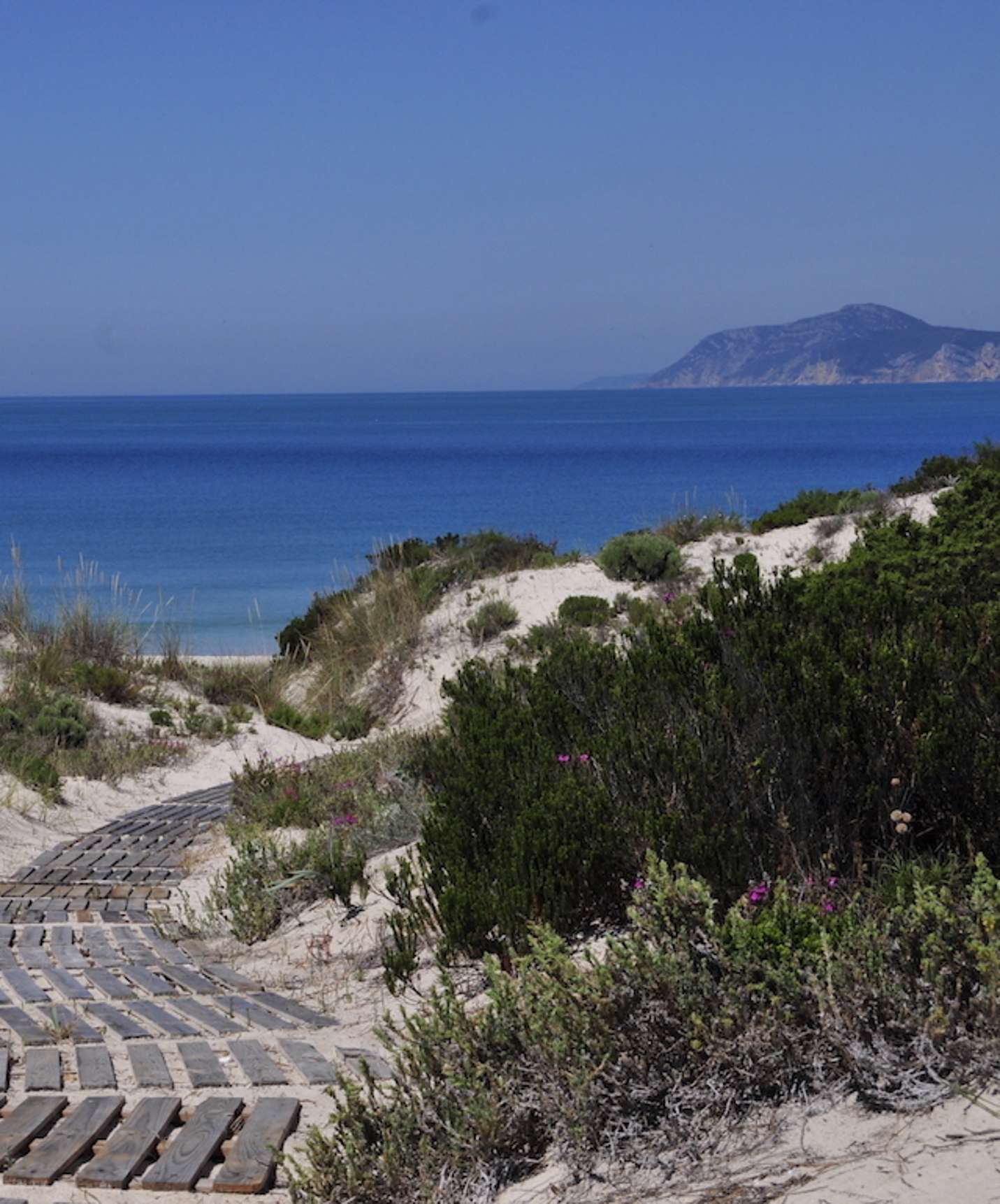 Pasadizo de madera que da acceso directo a la playa de Soltroia desde el Pestana Tróia Eco Resort