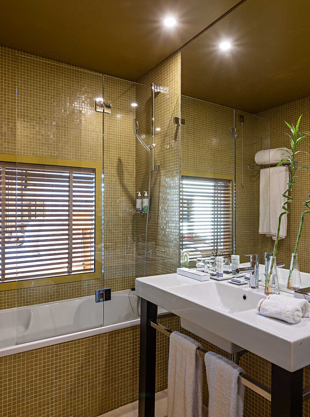 El Executive Superior tiene un baño con bañera y una ventana al dormitorio