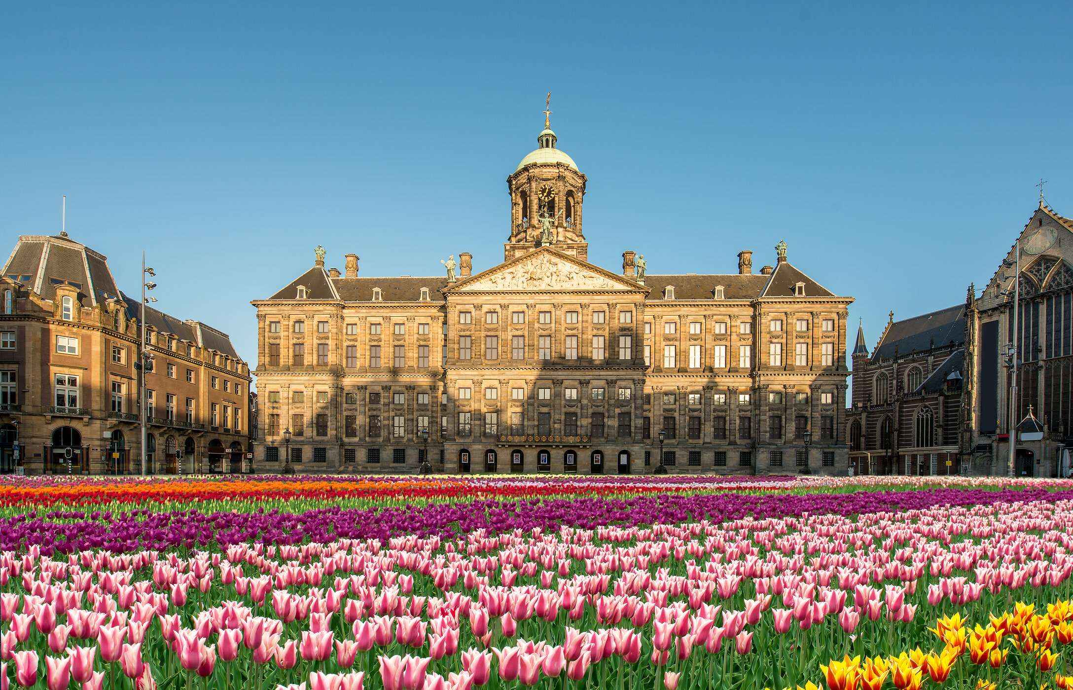 Palacio Real de Ámsterdam, una imponente construcción de ladrillo con una vibrante alfombra de tulipanes coloridos