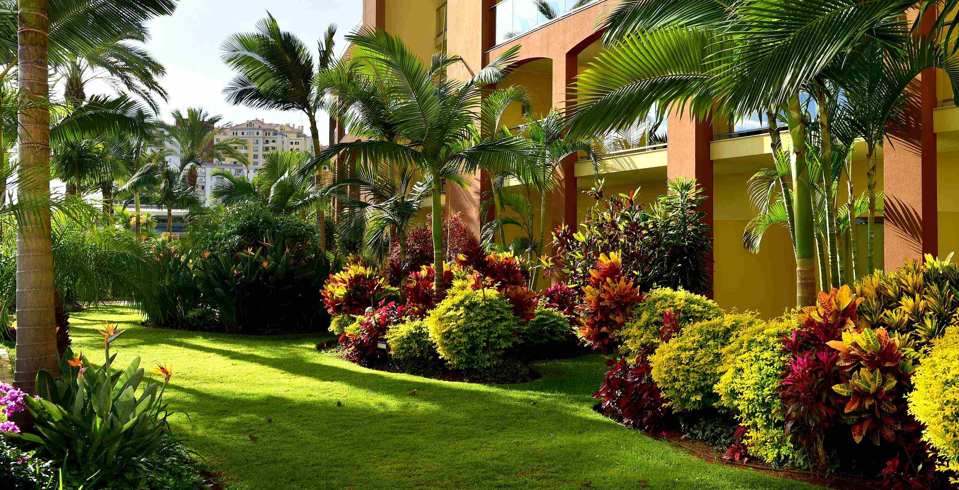 Jardins do Pestana Promenade, Hotel na Madeira, Perto da Praia e do Lido, com palmeiras e plantas coloridas