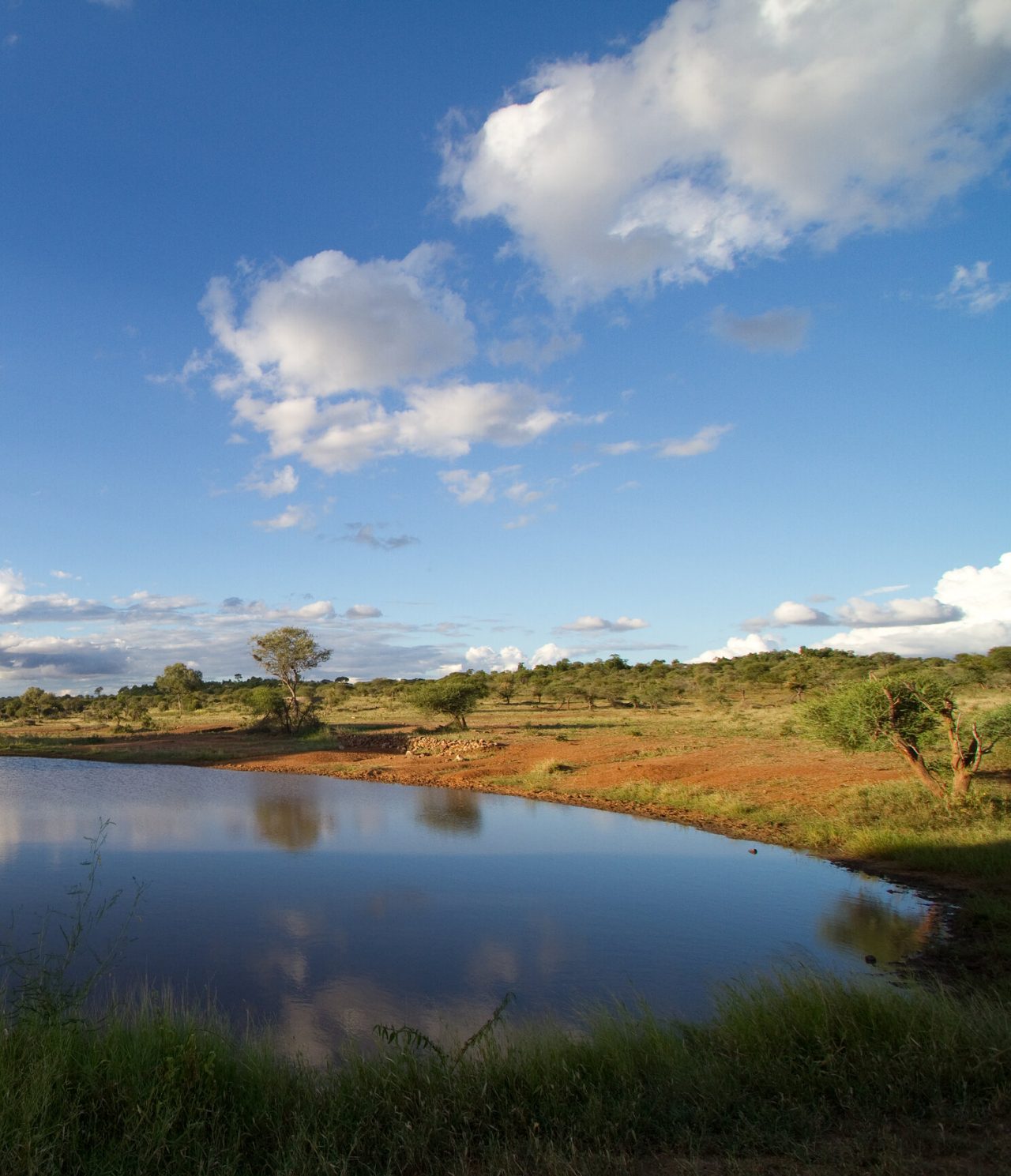 Bezoek Zuid-Afrika en geniet van het landschap van Krugerpark, met weelderige vegetatie en een serene meer