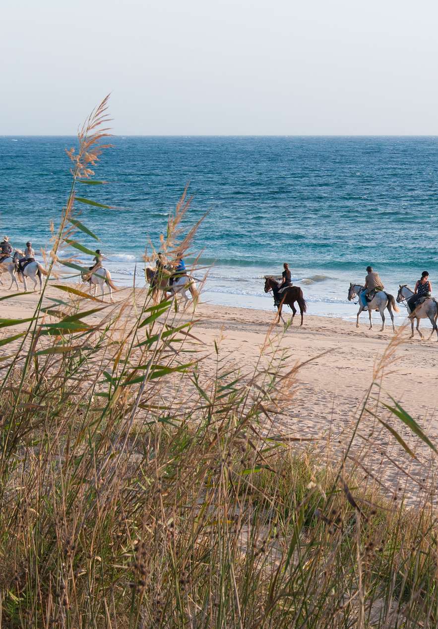 Groep mensen te paard langs het strand in Tróia en Comporta