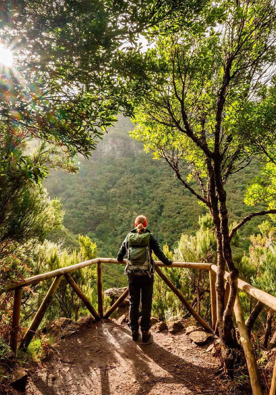 Fique no Pestana Ocean Bay e descubra a Floresta Laurissilva da Madeira, com a sua biodiversidade muito elevada