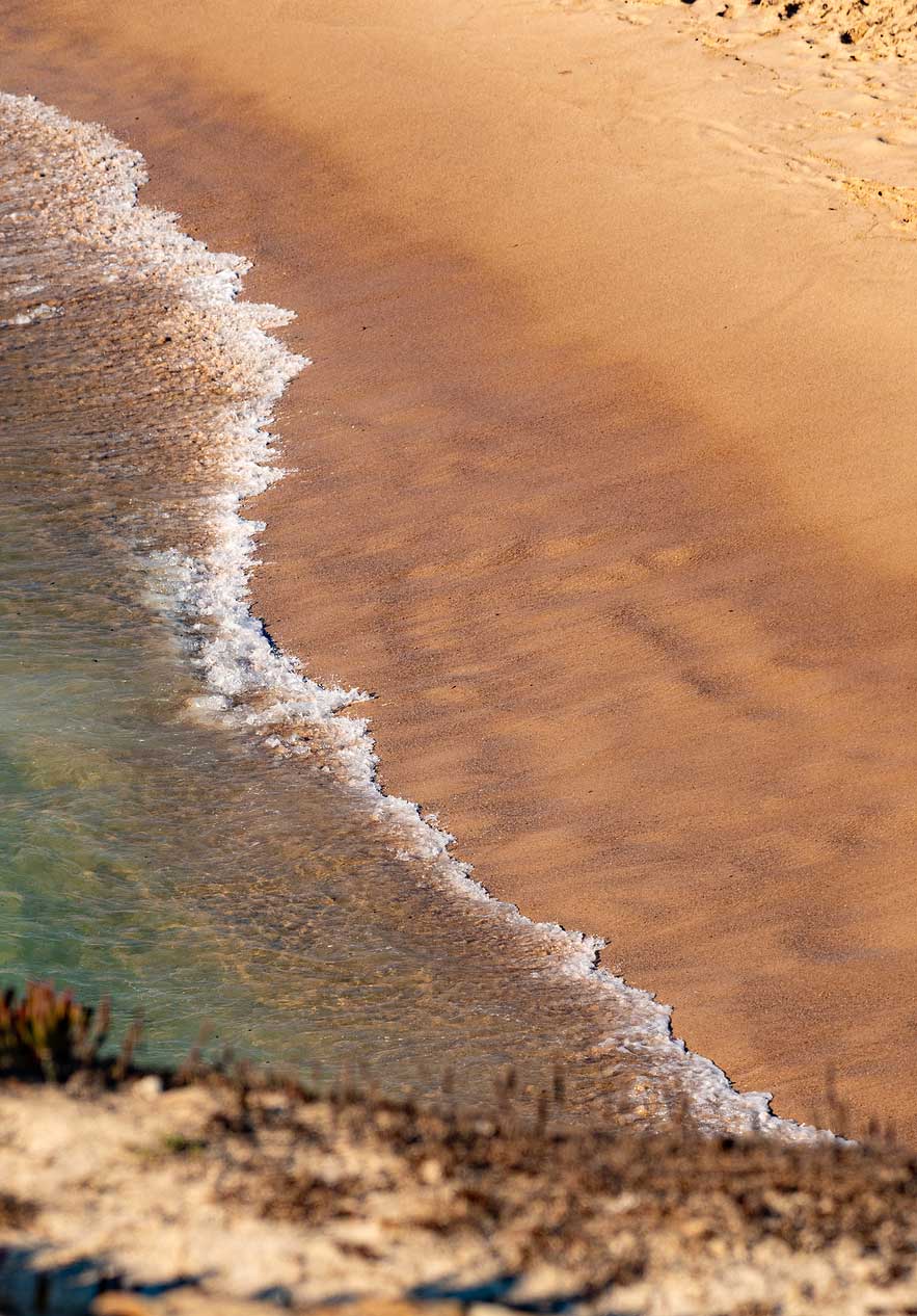 colocar alt text aqui