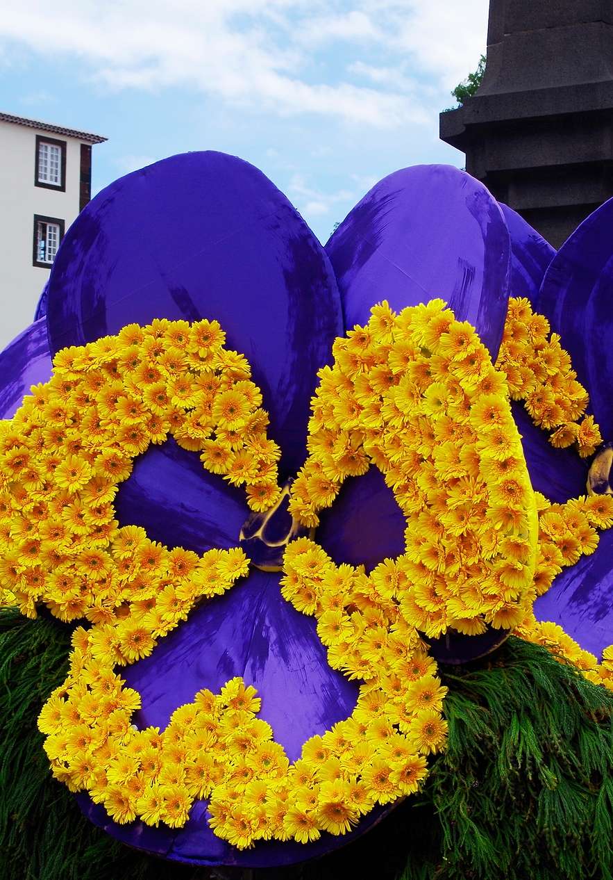 Stay at Pestana Ocean Bay All Inclusive and discover the beauty of the Flower Festival with all kinds of colorful flowers