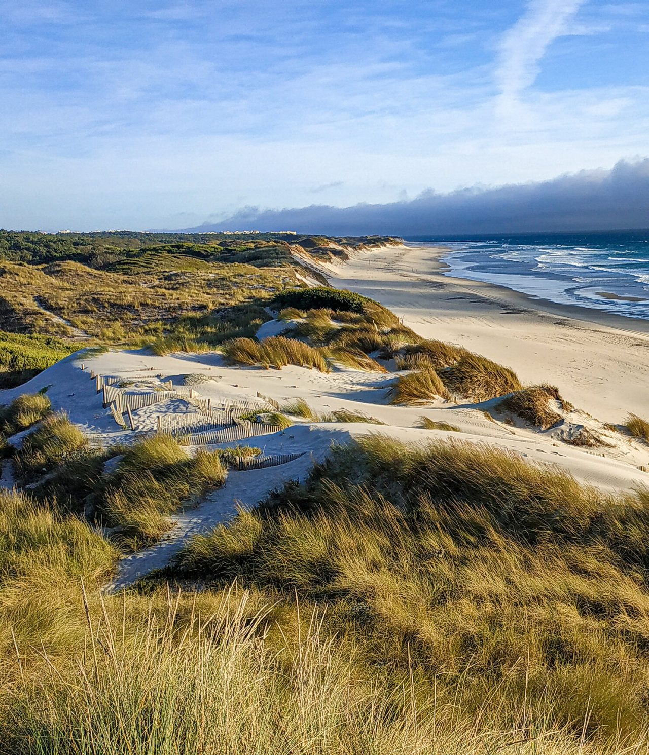 Expansive white sand beach, with dunes covered by vegetation, and an infinite maritime horizon