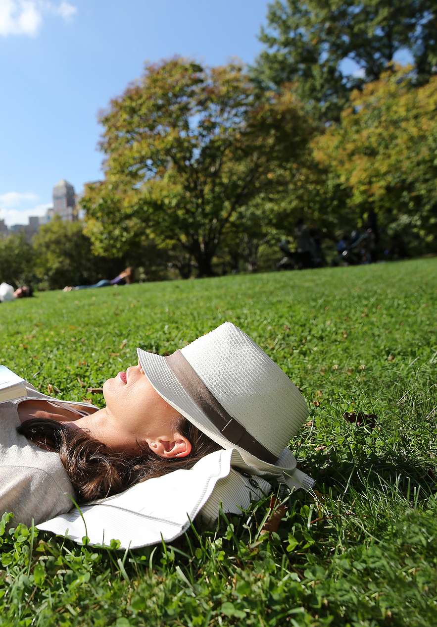 Panoramic view of Central Park with the Manhattan skyline in the background with people relaxing on the grass